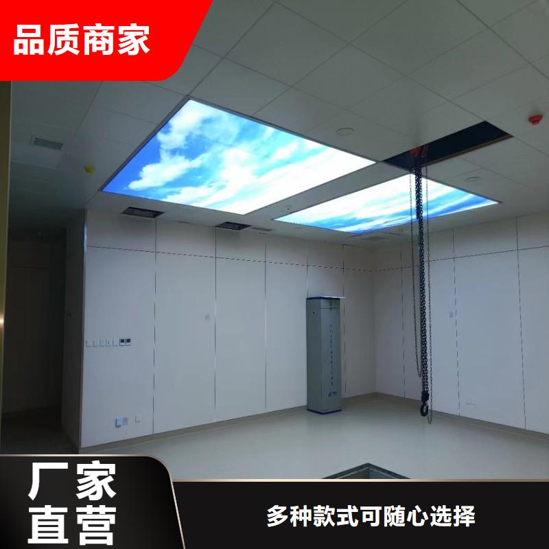 加速器防护门厂家可开票