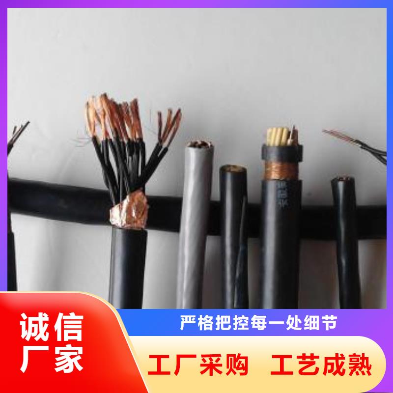 电线电缆KVV22电缆诚信商家服务热情