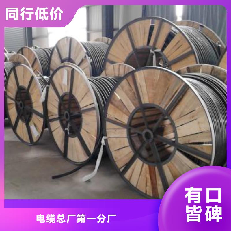 电线电缆PTYA23电缆厂家直销规格多样