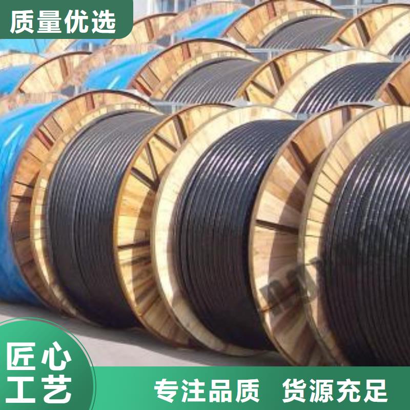 【电线电缆】,PTYA23电缆一手货源源头厂家