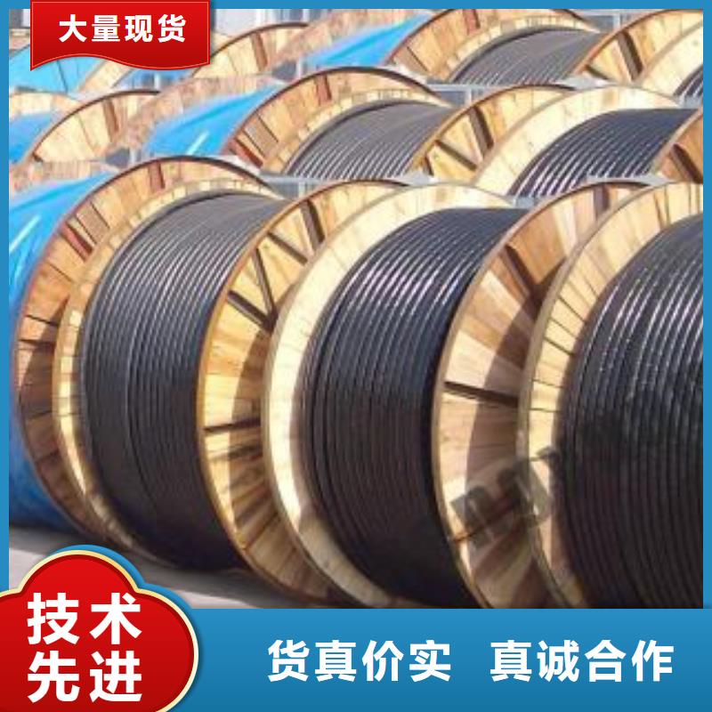 电线电缆DJYVP电缆真诚合作