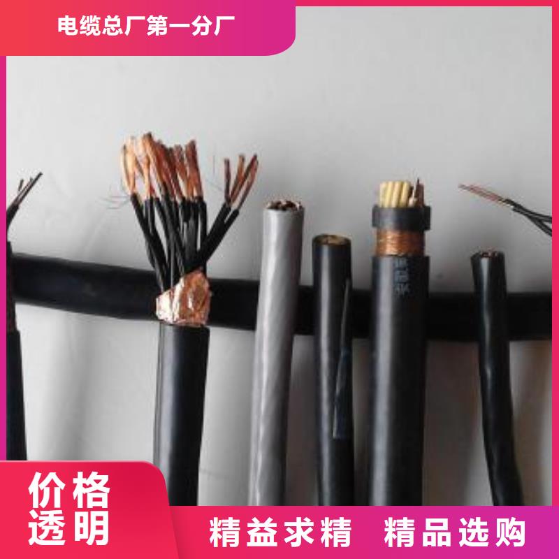 电线电缆PTYA23电缆品种全