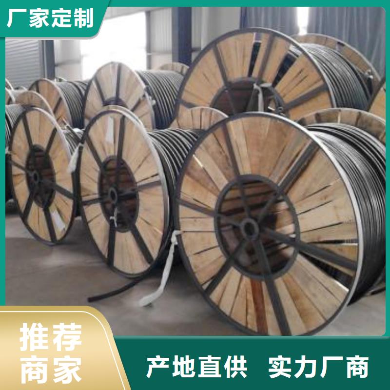 电线电缆PTYA23电缆品种全
