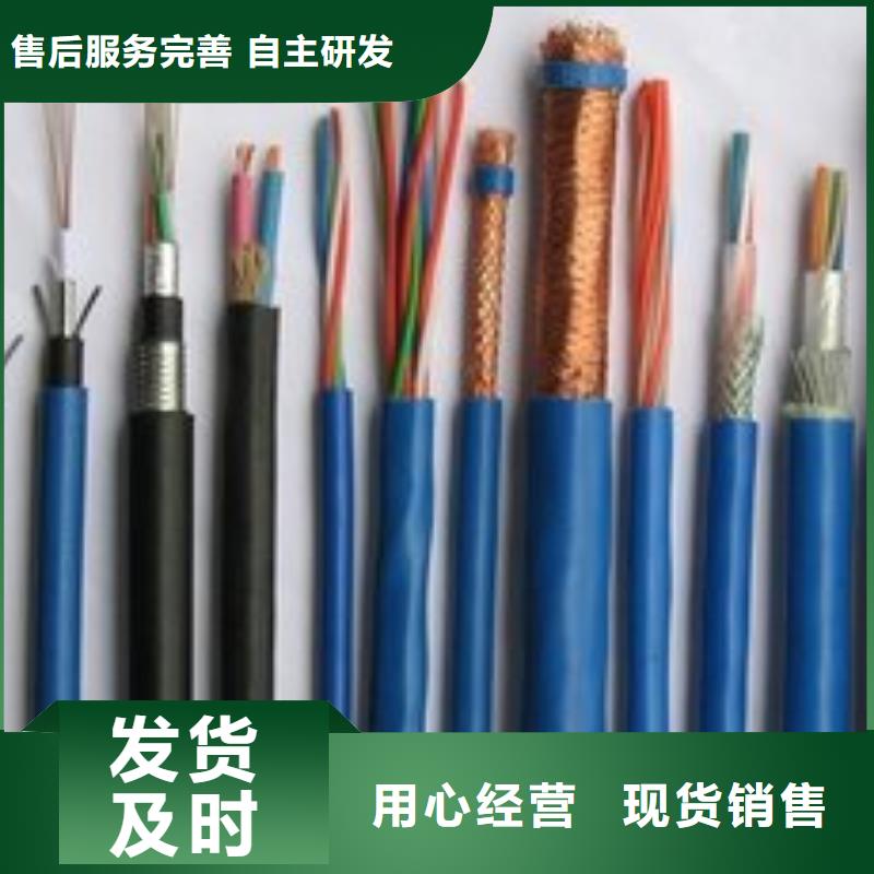 电线电缆KVV22电缆诚信商家服务热情