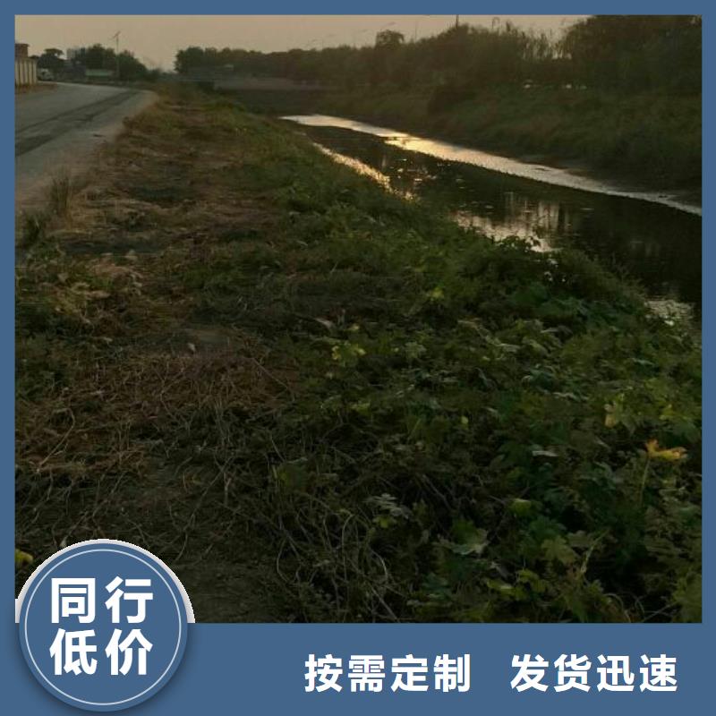 污泥处理土壤固化剂质优价保