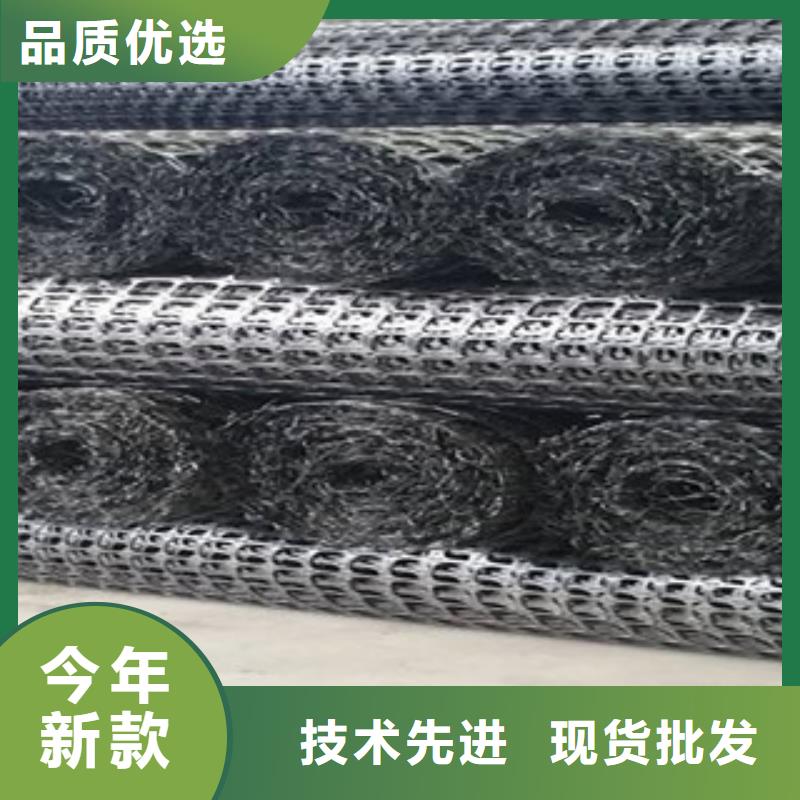 双向塑料格栅塑料土工格栅工厂直销