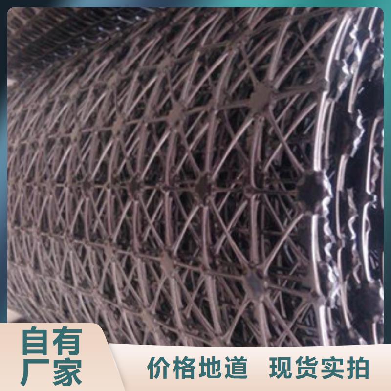 钢塑土工格栅-塑料排水板用好材做好产品