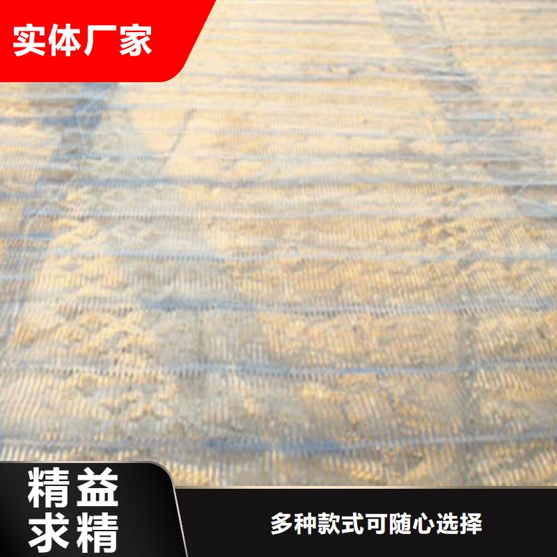 单向塑料格栅钢塑土工格栅信誉至上