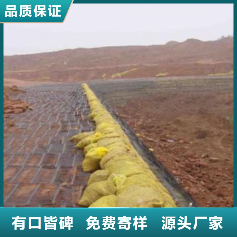 【单向塑料格栅钢塑土工格栅免费安装】