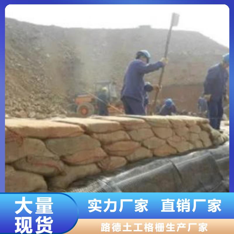 单向塑料格栅塑料土工格栅实体厂家大量现货