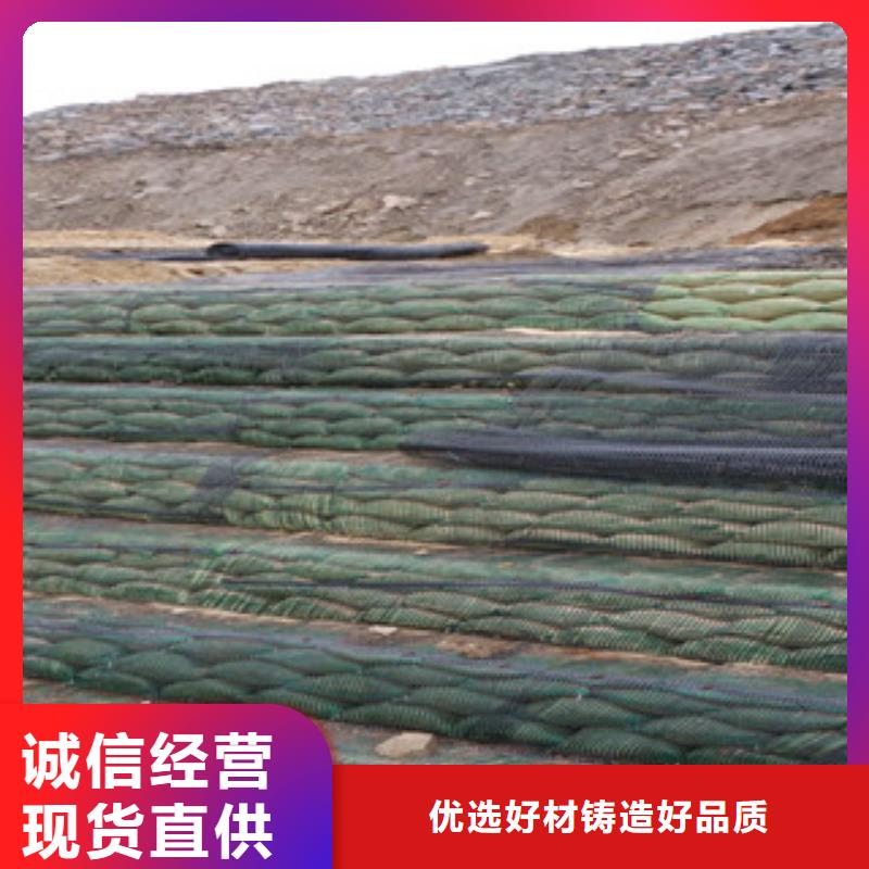单向塑料格栅塑料土工格栅实体厂家大量现货