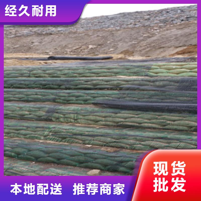 单向塑料格栅玻纤土工格栅保障