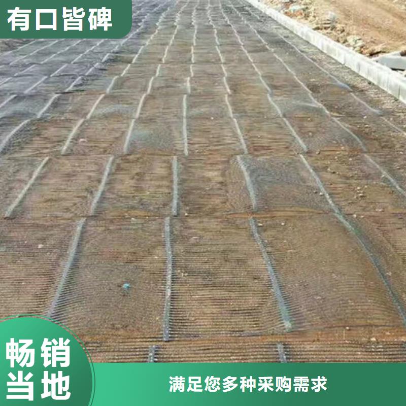 【单向塑料格栅】,高强度土工网工厂直营