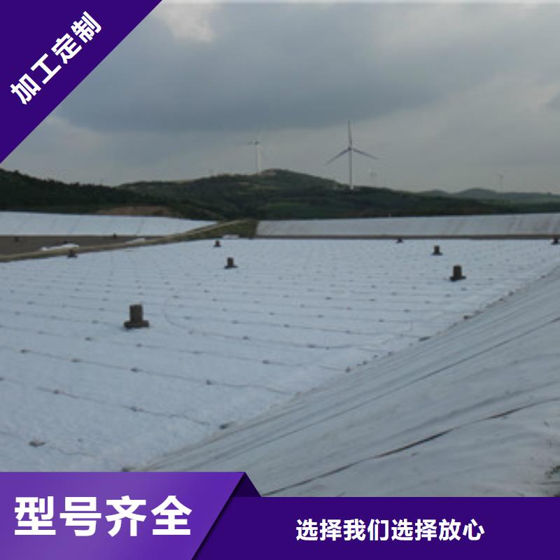 【土工布】玻纤土工格栅厂家采购