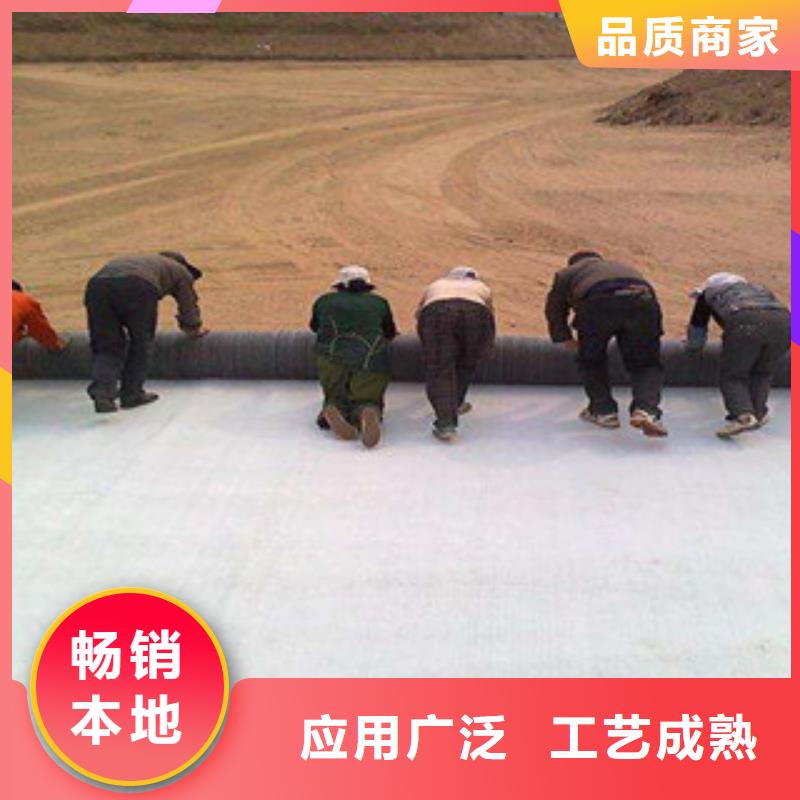【膨润土防水毯支持加工定制】