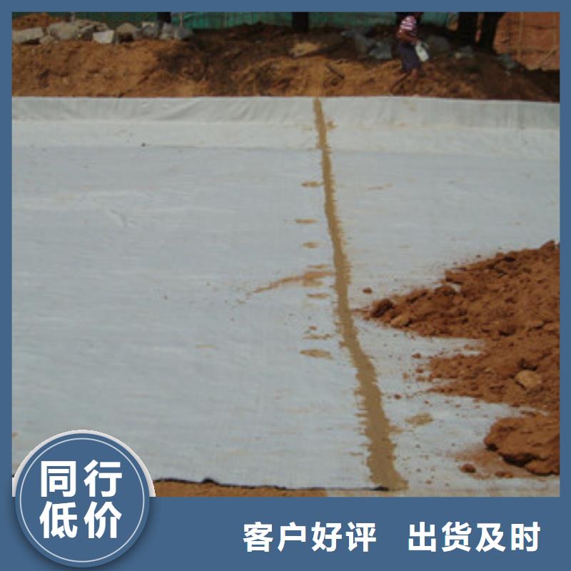 膨润土防水毯,钢塑土工格栅买的放心安兴用的舒心