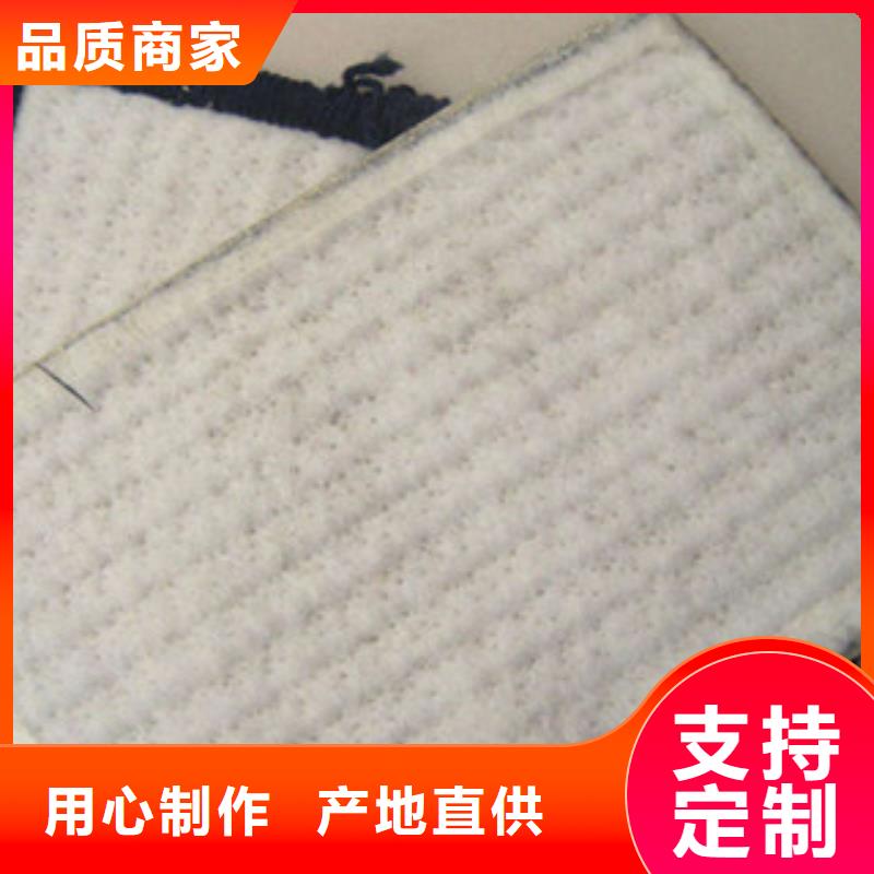 膨润土防水毯极速发货