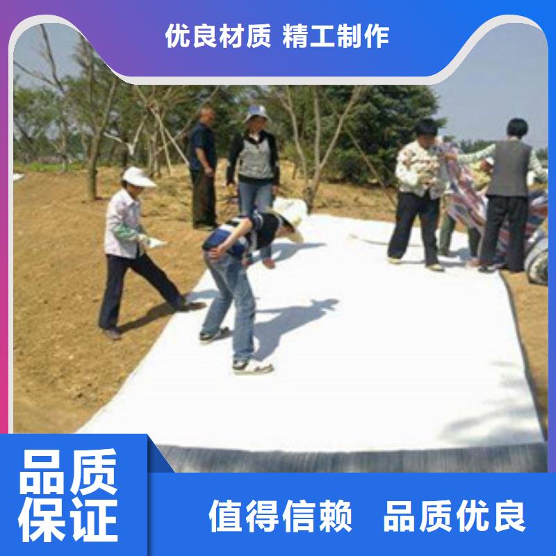 【膨润土防水毯支持加工定制】