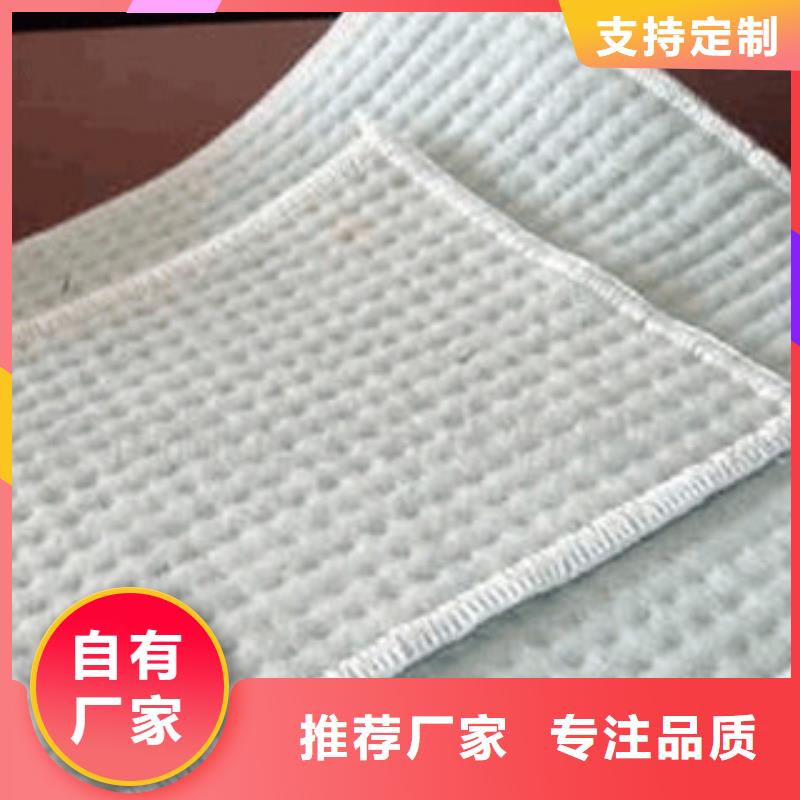 【膨润土防水毯支持加工定制】