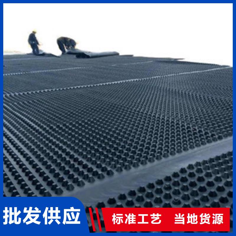 塑料排水板,三维植被网品质不将就