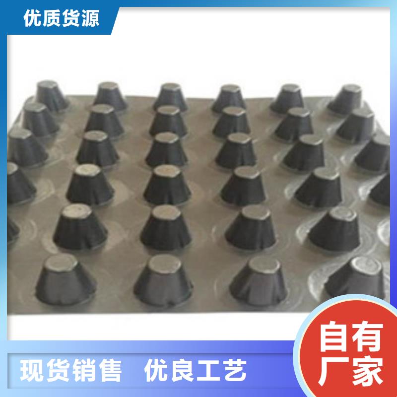 塑料排水板塑料土工格栅每一处都是匠心制作