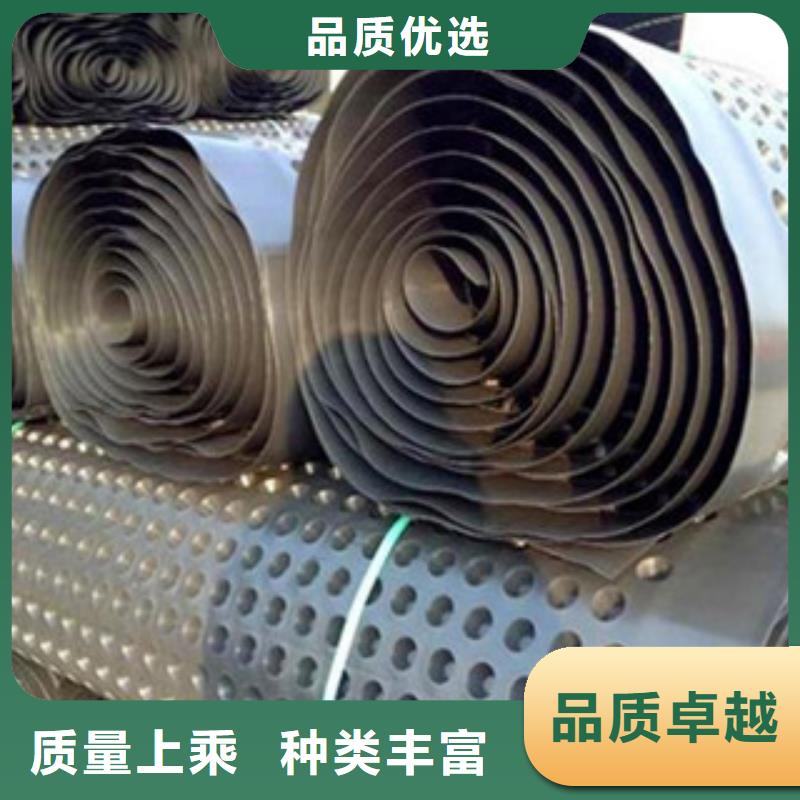 塑料排水板玻纤土工格栅质量可靠