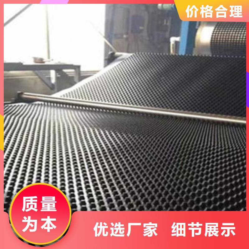 【塑料排水板】塑料土工格栅真材实料诚信经营