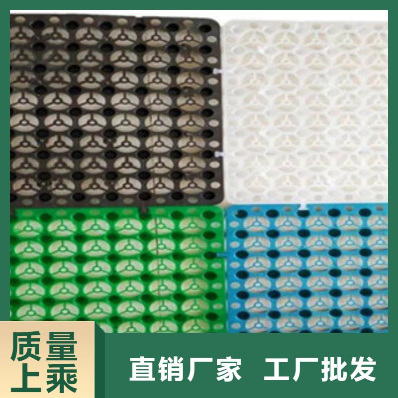 【塑料排水板】塑料土工格栅真材实料诚信经营