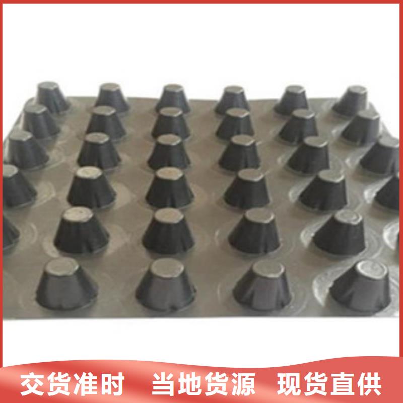 塑料排水板,三维植被网品质不将就