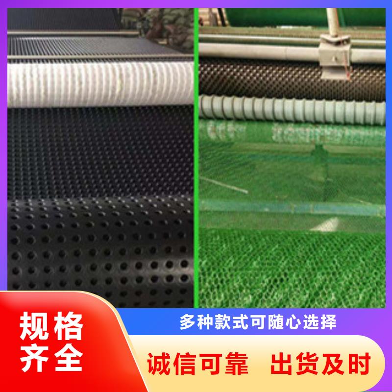 塑料排水板,三维植被网品质不将就