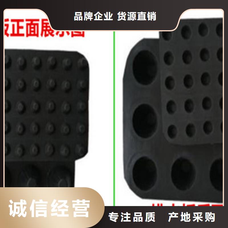 塑料排水板玻纤土工格栅质量可靠