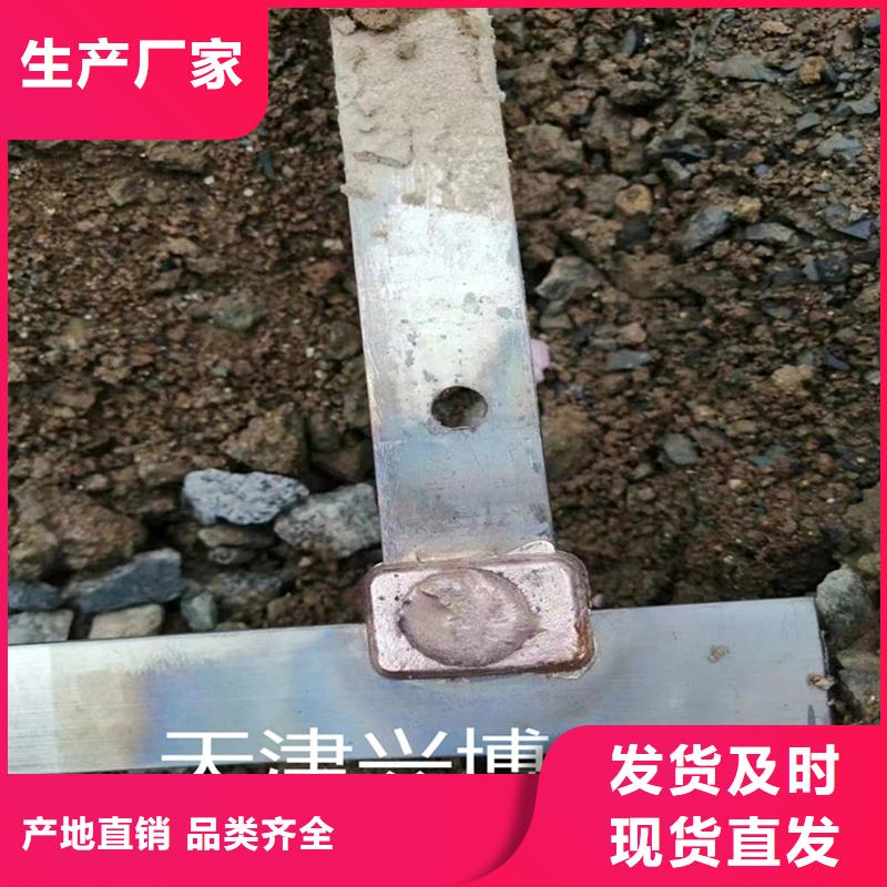 紫铜排TMY125*10%今日价格