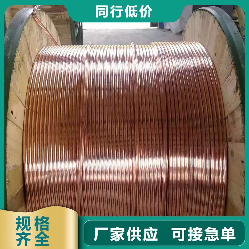 镀锡铜绞线图片正规厂家含税含运费