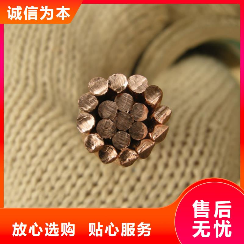镀锡铜绞线标准货源含税含运费