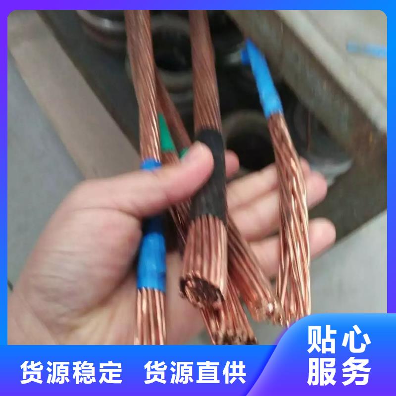 镀锡铜绞线标准近期行情有现货