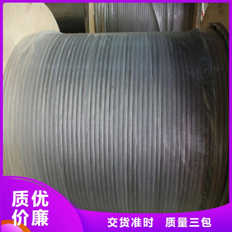 铜绞线镀锡铜绞线质量为本