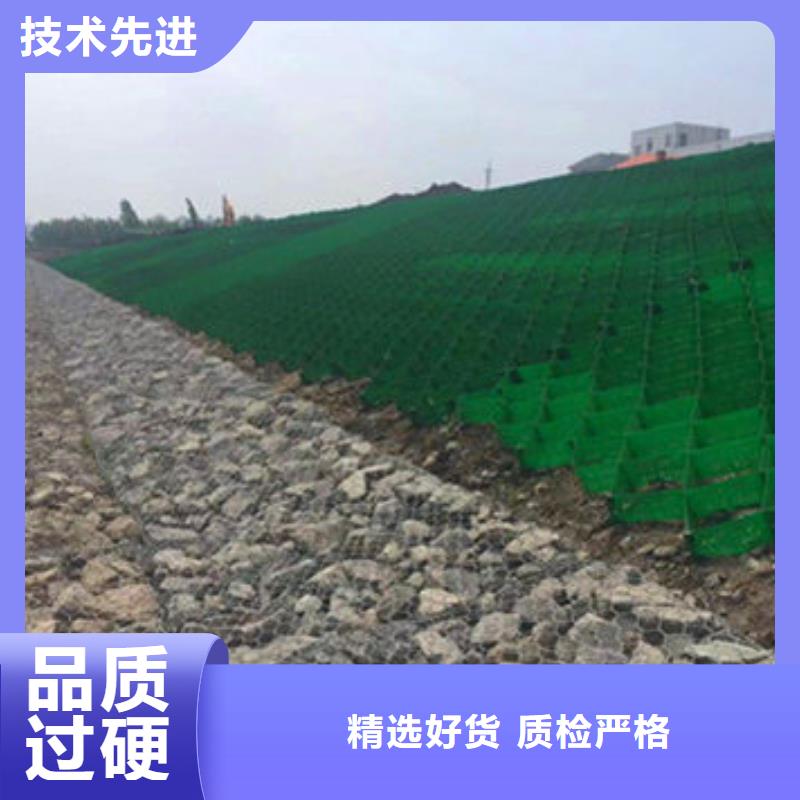 蜂巢格室_【双向塑料土工格栅】订制批发