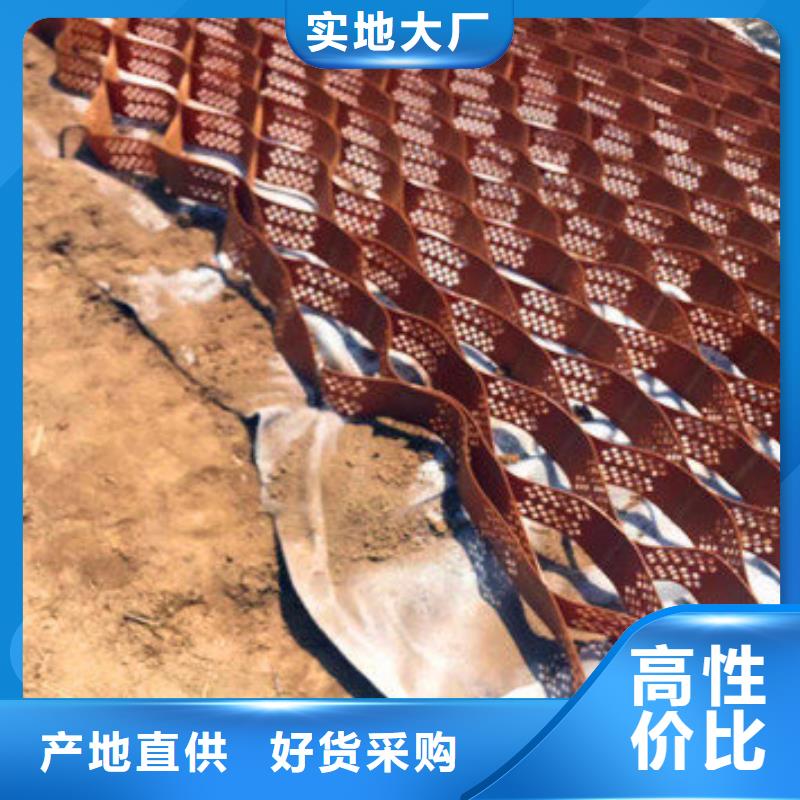 蜂巢格室_【双向塑料土工格栅】订制批发