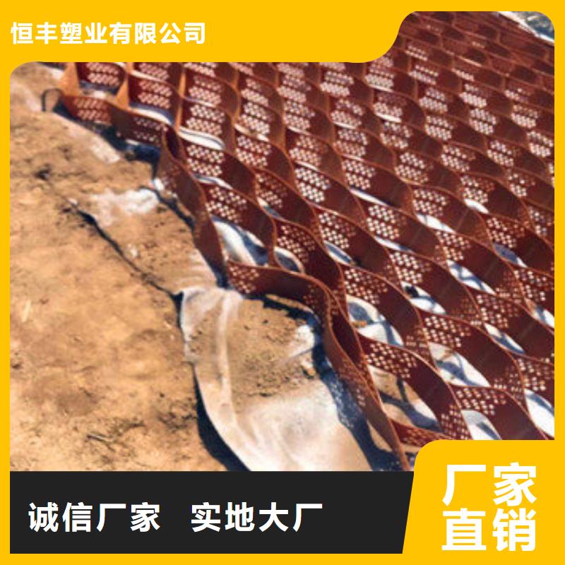 蜂巢格室快速物流发货