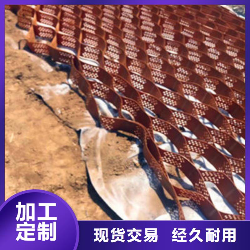 蜂巢格室_【双向塑料土工格栅】订制批发