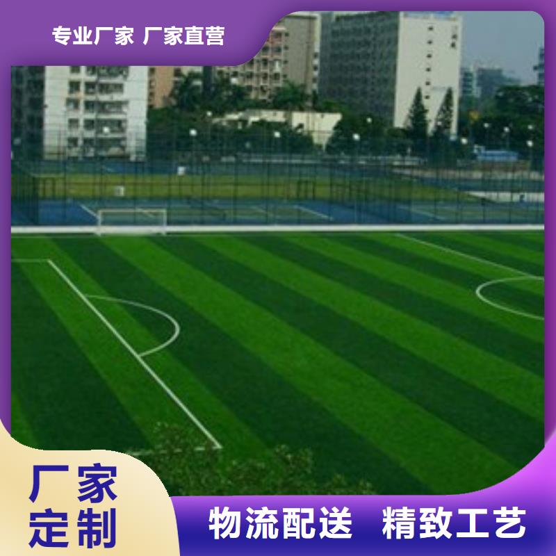 人造草坪室外健身器材发货迅速
