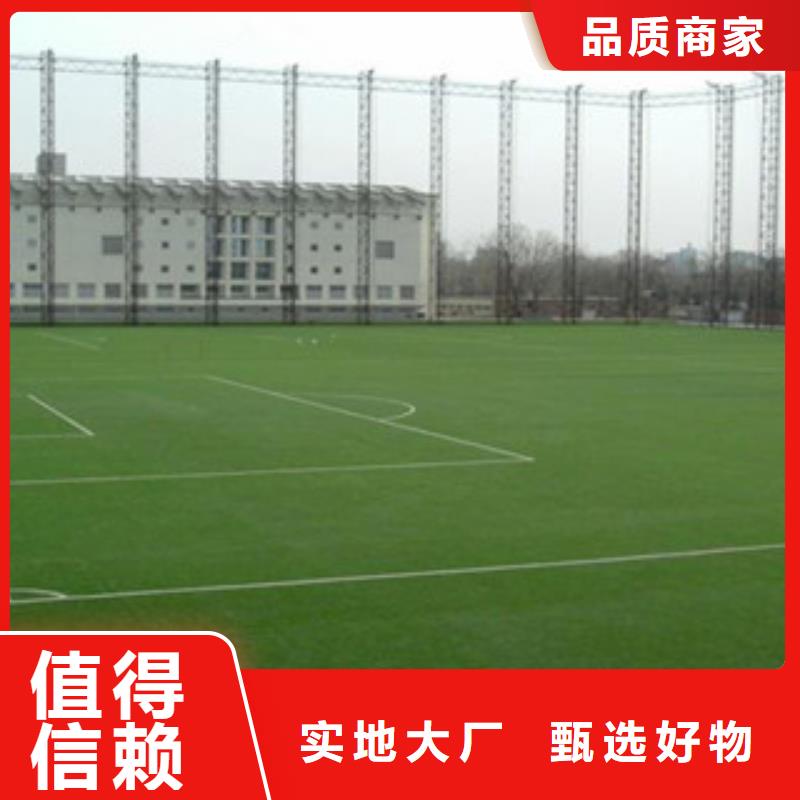 人造草坪支持定制加工