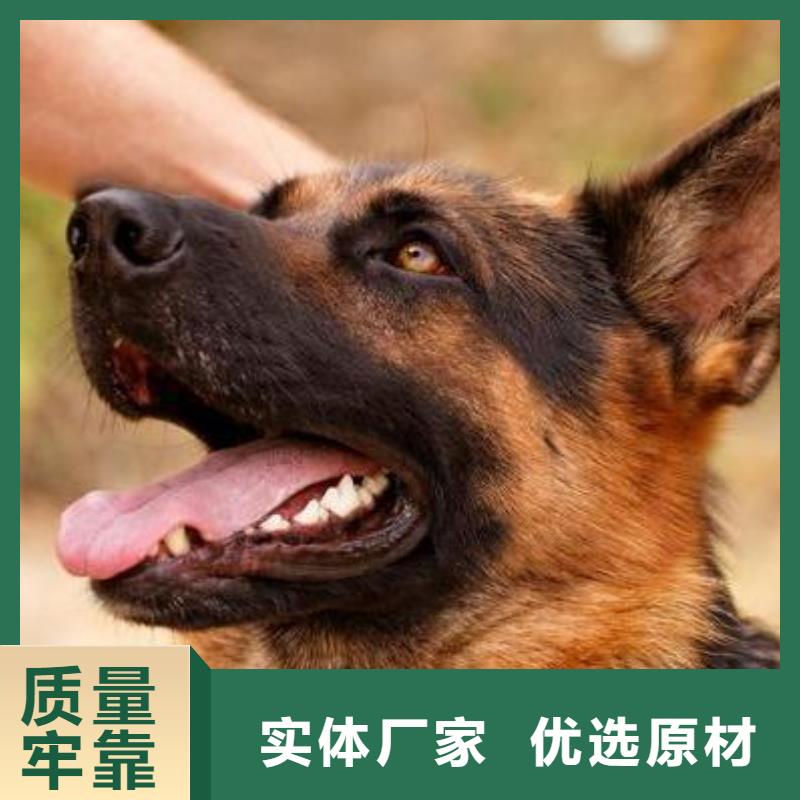 德国牧羊犬罗威纳犬多种规格供您选择