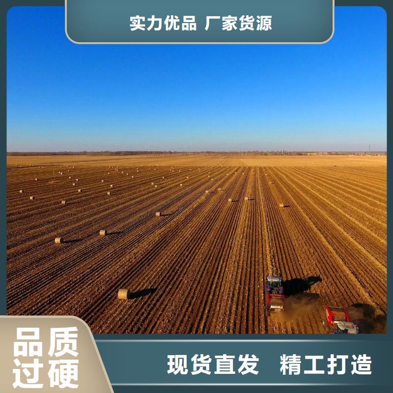 打捆机杜宾犬产地工厂