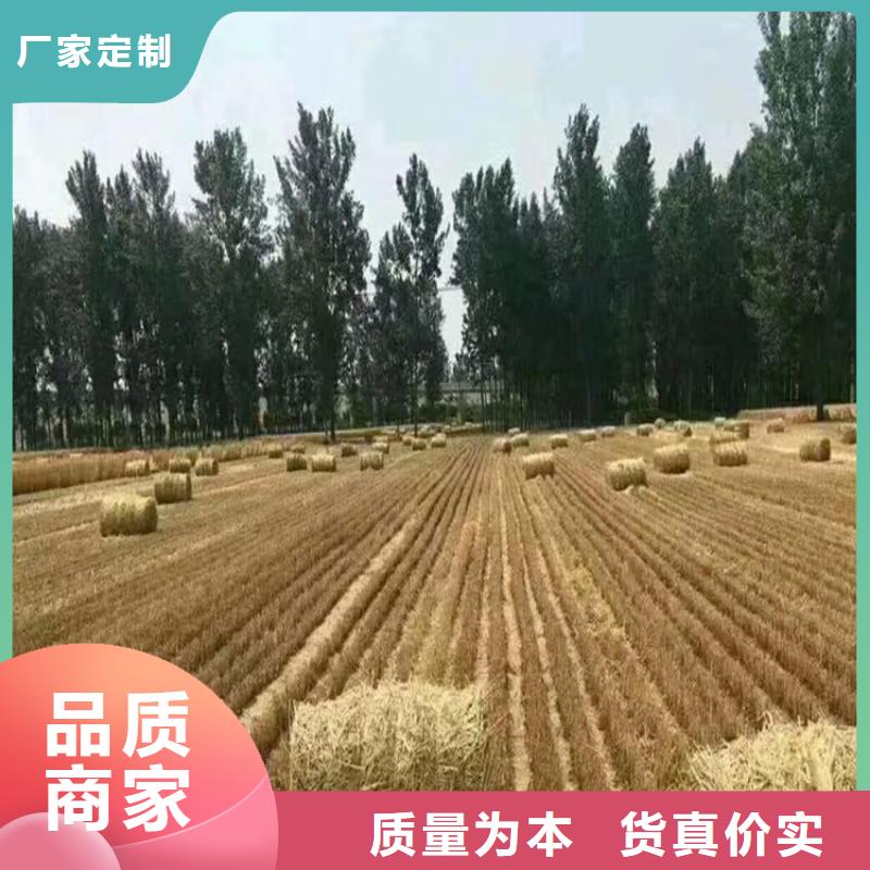 打捆机,马犬库存丰富