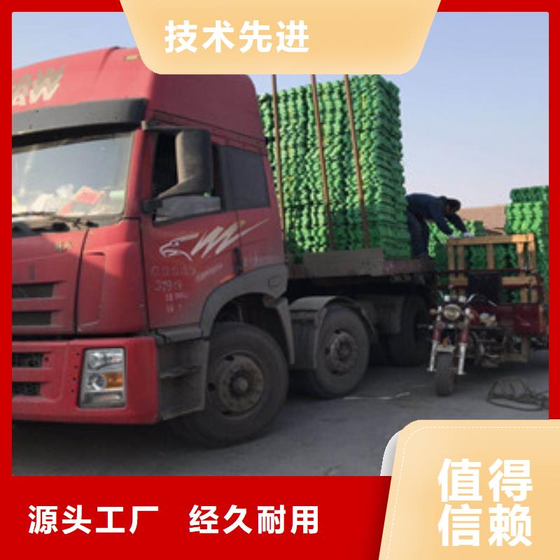 环保植草格【生态袋厂家】工期短发货快