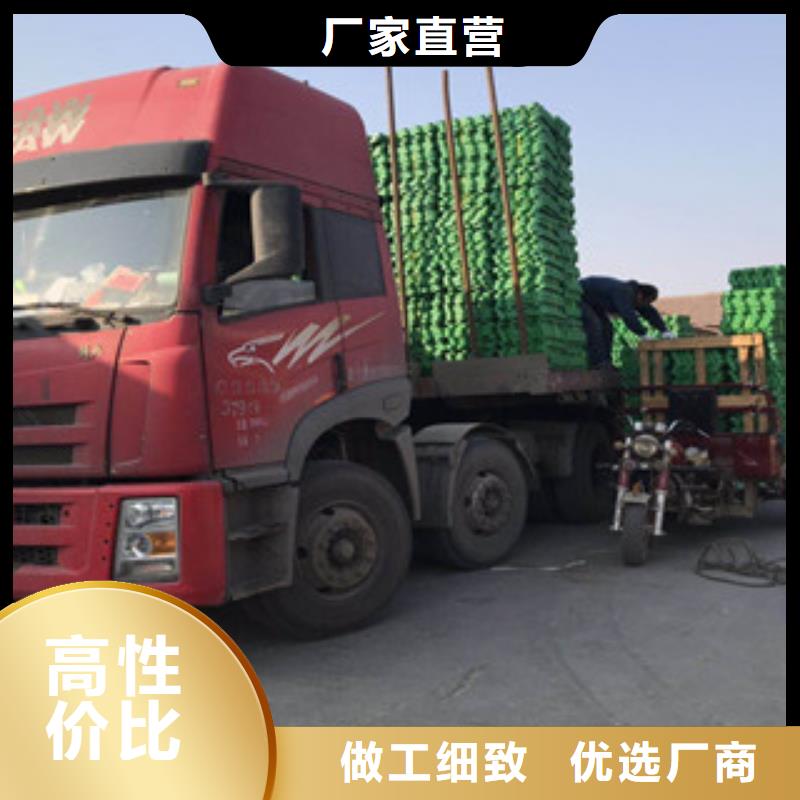 环保植草格【排水板厂家】品牌大厂家