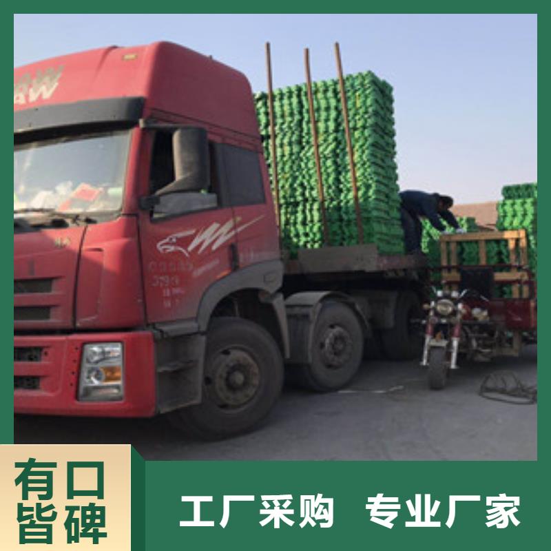 【环保植草格】-土工布厂家品质好才是硬道理