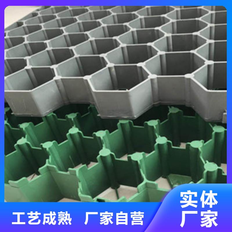 环保植草格【排水板厂家】品牌大厂家