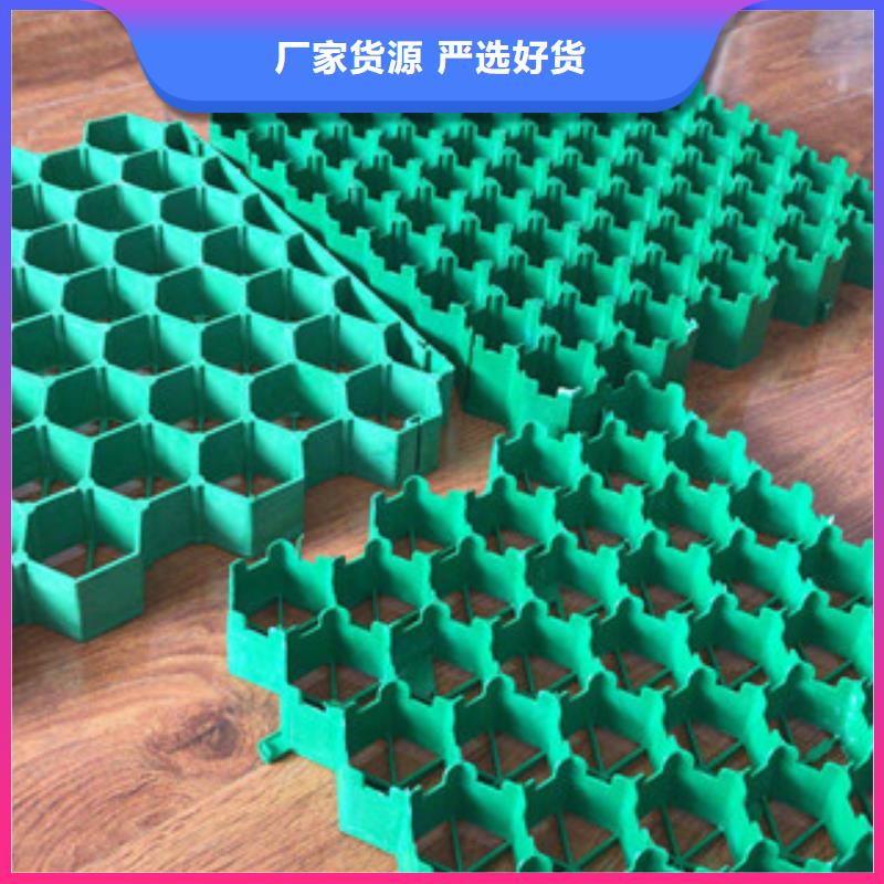 环保植草格膨润土防水毯厂家您身边的厂家